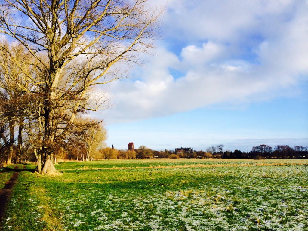 Blick zum Schloss Güstrow. Foto: Bianca Garloff