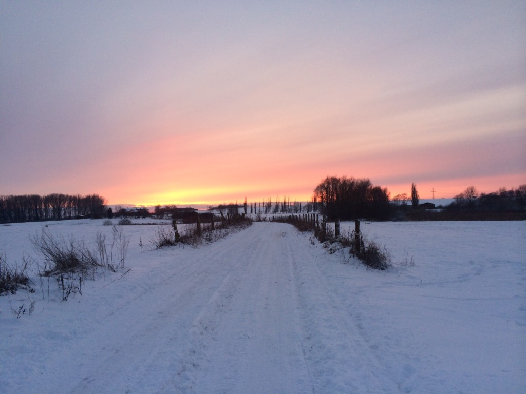 Sumpfseewiesen in Güstrow. Foto: Bianca Garloff