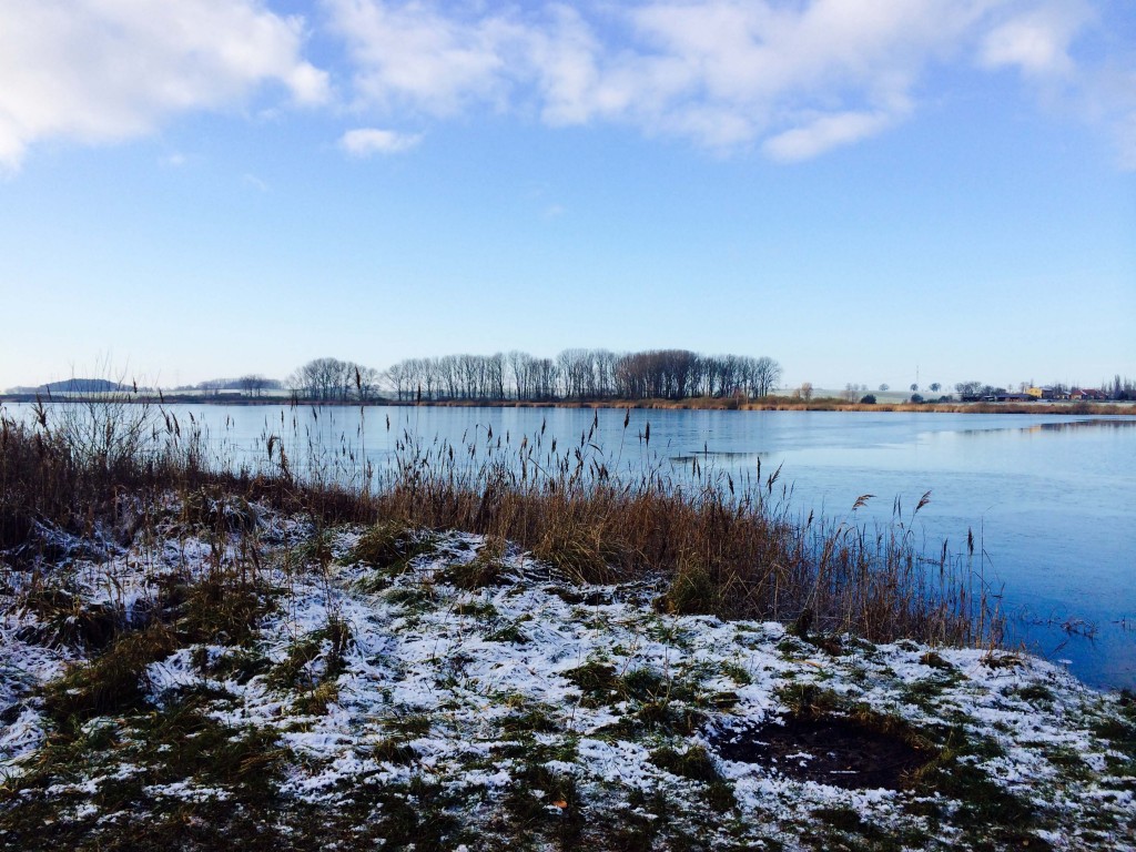 Sumpfsee bei Güstrow. Copyright: Bianca Garloff