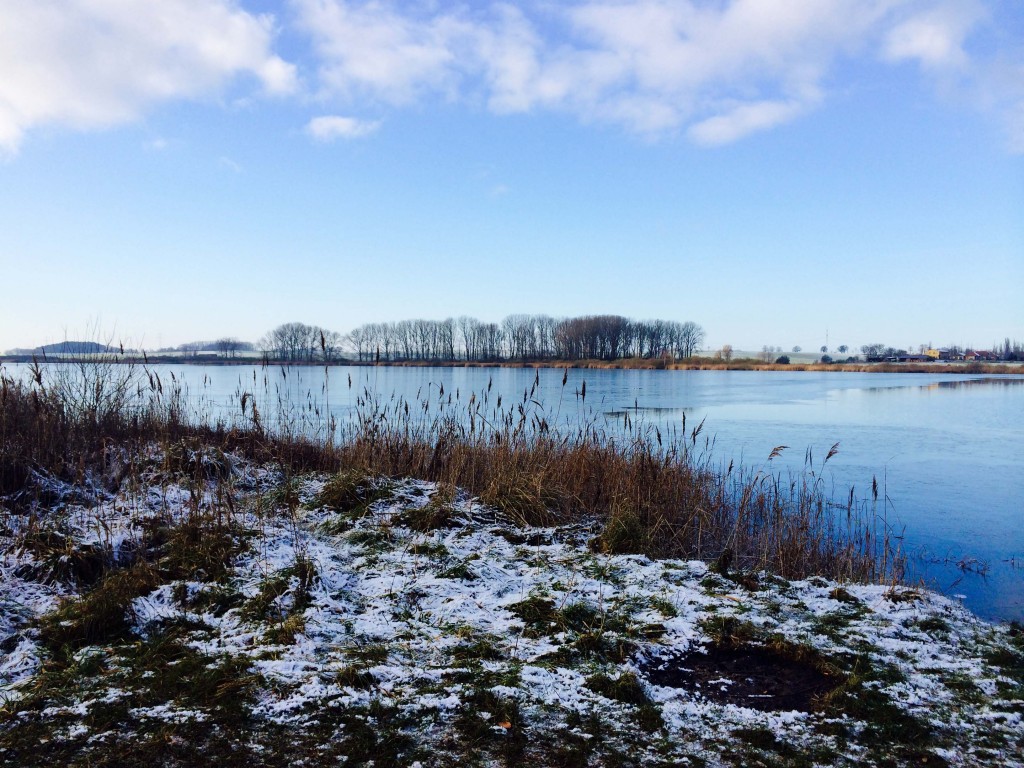 Sumpfsee bei Güstrow. Copyright: Bianca Garloff