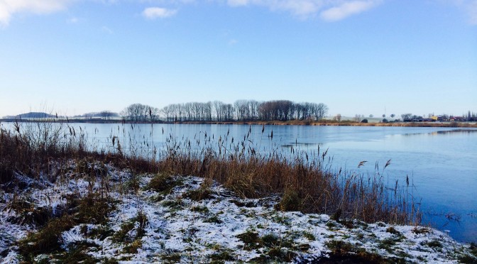 Sumpfsee bei Güstrow. Copyright: Bianca Garloff